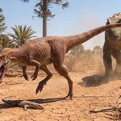 Zupaysaurus pictures