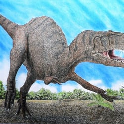 Afrovenator pictures