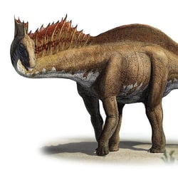 Amargasaurus pictures