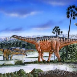 Amazonsaurus pictures