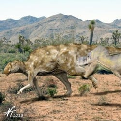 Aralosaurus pictures