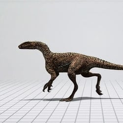 Australovenator pictures