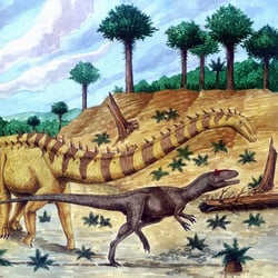 Barosaurus pictures