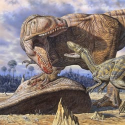 Carcharodontosaurus pictures