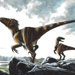 Deinonychus pictures