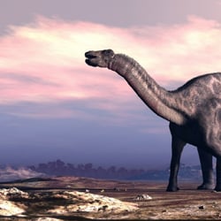 Dicraeosaurus pictures