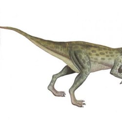 Fulgurotherium pictures