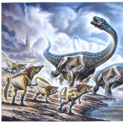 Orkoraptor pictures