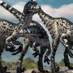 Dromaeosaurus pictures
