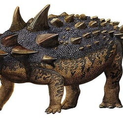 Euoplocephalus pictures