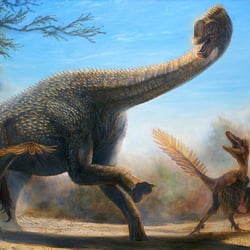 Europasaurus pictures