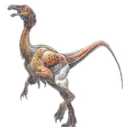 Falcarius pictures