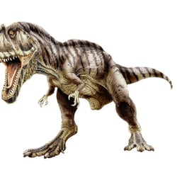 Giganotosaurus pictures