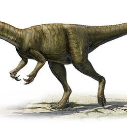 Herrerasaurus pictures