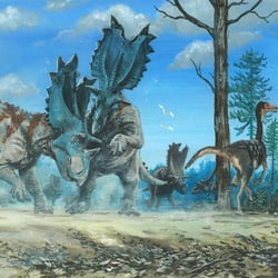 Utahceratops pictures
