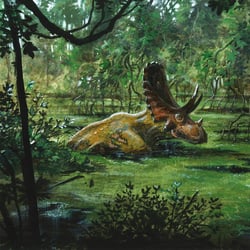 Judiceratops pictures