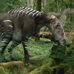 Iguanodon pictures