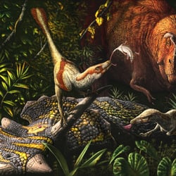 Acheroraptor pictures