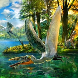 Ikrandraco pictures