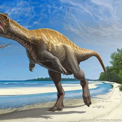 Irritator pictures