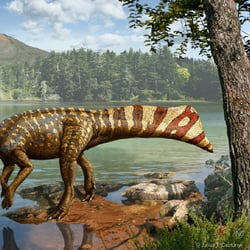 Koreaceratops pictures