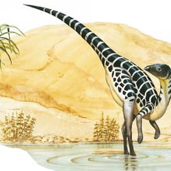 Leaellynasaura pictures