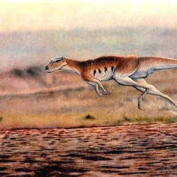 Lesothosaurus pictures