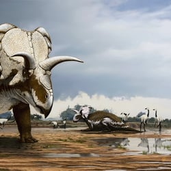 Medusaceratops pictures