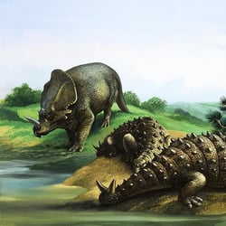 Monoclonius pictures