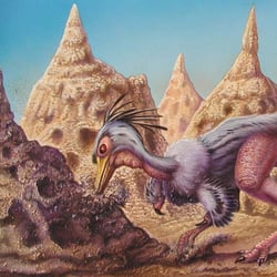 Mononykus pictures