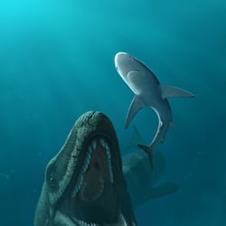 Mosasaurus pictures