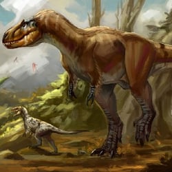 Nanotyrannus pictures