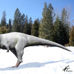 Nanuqsaurus pictures