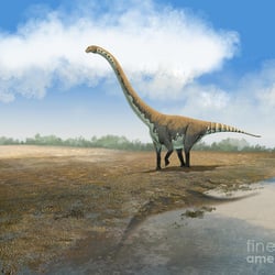 Euhelopus pictures