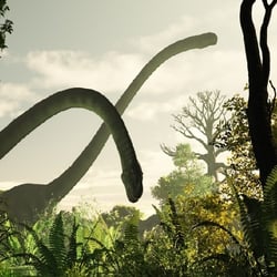 Omeisaurus pictures