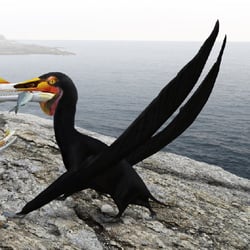 Ornithocheirus pictures