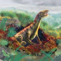 Oryctodromeus pictures