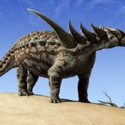 Sauropelta pictures