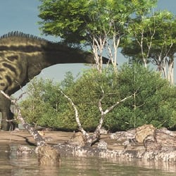 Shantungosaurus pictures