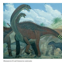 Shunosaurus pictures