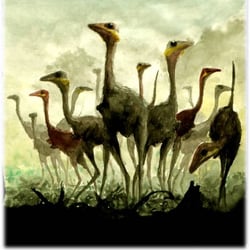 Sinornithoides pictures