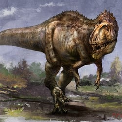 Sinraptor pictures