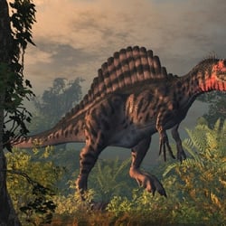 Spinosaurus pictures