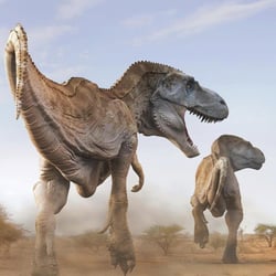 Tarbosaurus pictures