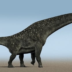 Titanosaurus pictures
