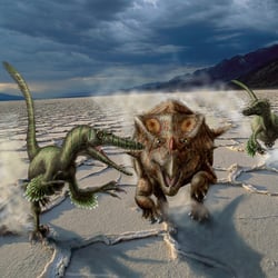 Bagaceratops pictures