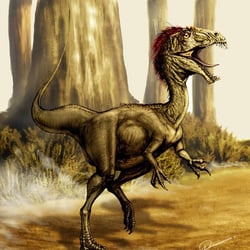 Velocisaurus pictures