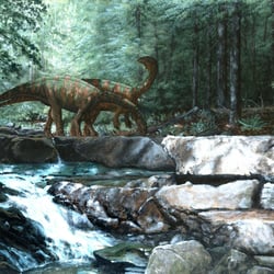 Yunnanosaurus pictures