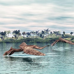 Zhenyuanopterus pictures