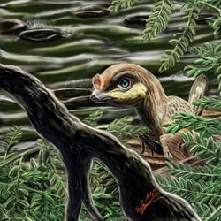 Zhongornis pictures